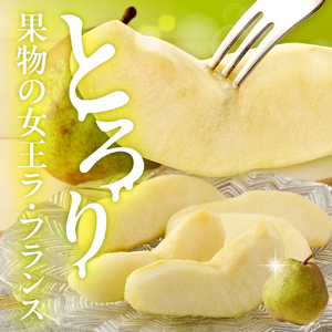ラ・フランス 5kg フルーツ 果物 洋梨 山形 08-40-001