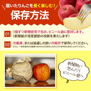 りんご （ サンふじ ）  5kg 山形 果物 フルーツ 08-40-002