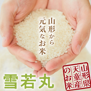 【2026年3月中旬発送】令和7年産 雪若丸 5kg 米 精米 山形 07-01-193-03B