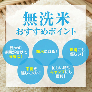【2026年2月下旬発送】令和7年産 つや姫 無洗米 5kg 米 山形 07-01-196-02C