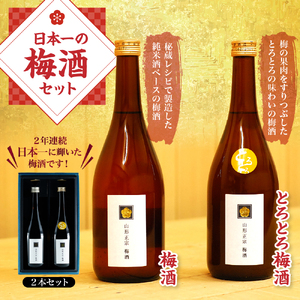 日本一の梅酒 セット 720ml 2本 水戸部酒造 山形 地酒 07-18-006
