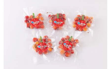 氷のめぐみ ( さくらんぼ ) 冷凍フルーツ 果物 山形 08-03-060