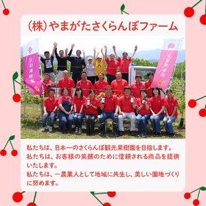 吟選 天童 手打ち 蕎麦 ( 生麺 ) 4人前 冷凍 山形 07-03-058