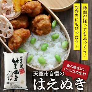 【2026年2月下旬発送】令和7年産 はえぬき 5kg 米 精米 山形 天童 07-01-191-02C
