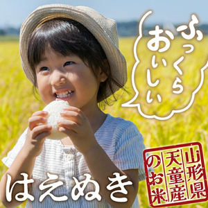 【2026年2月上旬発送】令和7年産 はえぬき 10kg 米 精米 山形 天童 07-01-156-02A