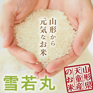 【2026年1月下旬発送】令和7年産 雪若丸 15kg 米 精米 山形 天童 07-01-185-01C