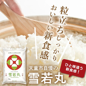 【2026年3月中旬発送】令和7年産 雪若丸 15kg 米 精米 山形 天童 07-01-185-03B