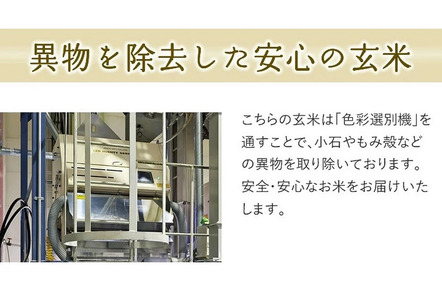 【2026年2月中旬発送】令和7年産 【やわらかく炊ける玄米】つや姫 10kg 米 山形 天童 07-01-178-02B