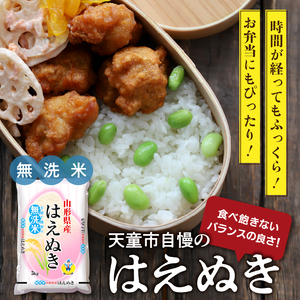 【2026年3月下旬発送】令和7年産 はえぬき 無洗米 5kg 米 山形 天童 07-01-192-03C