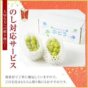 ぶどう ( シャインマスカット ) 2房 秀 フルーツ 果物 山形 08-01-016