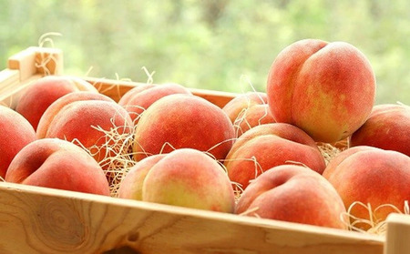 もも ( 川中島 白桃 ) 4.5kg フルーツ 果物 山形 08-03-019