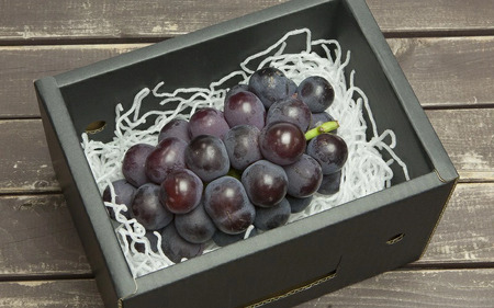 ぶどう ( 種なし ピオーネ ) 600g フルーツ 果物 山形 08-06-004