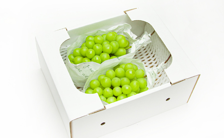 ぶどう ( シャインマスカット ) 約 2kg フルーツ 果物 山形 08-06-025