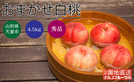 もも ( おまかせ 白桃 ) 4.5kg フルーツ 果物 山形 08-06-011
