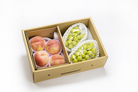 シャインマスカット と 白桃 詰合せ 約2.5kg フルーツ 果物 山形 08-06-018