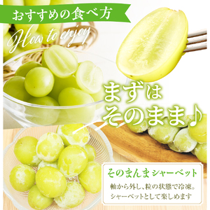 ぶどう ( シャインマスカット ) 2kg フルーツ 果物 山形 08-08-019