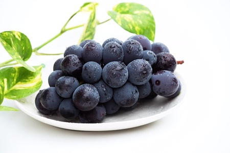 ぶどう ( 種なし ピオーネ ) 2kg フルーツ 果物 山形 08-08-020