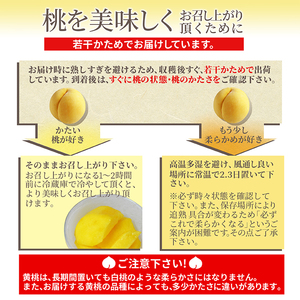 もも ( 黄金桃 ) 3kg フルーツ 果物 山形 08-10-017