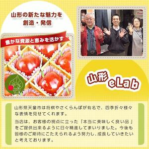 白桃 ( 品種 おまかせ ) 3kg フルーツ 果物 山形 08-10-023