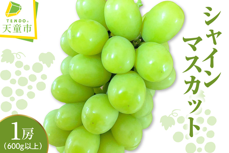 ぶどう シャインマスカット 1房 600g 以上 フルーツ 果物 山形 08-11-002