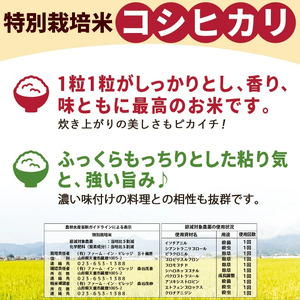 コシヒカリ 15kg [ 令和7年産 ] 米 精米 山形 07-30-056