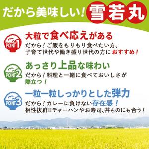 雪若丸 定期便 ( 5kg × 1袋 ) 12回 お届け 米 精米 山形 07-30-058