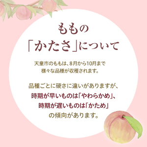 硬い !! もも ( 美晴白桃 ) 3kgフルーツ 果物 山形 08-10-020