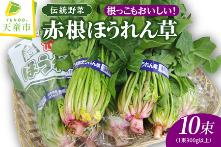 根っこもおいしい！ 赤根 ほうれん草 10束 野菜 08-01-049