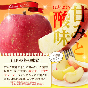 ラ・フランス & サンふじ セット 10kg りんご 洋梨 フルーツ 果物 山形 08-01-102