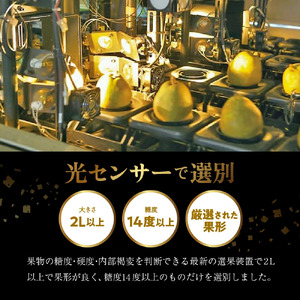 スーパー ラ・フランス 3kg 洋梨 フルーツ 果物 山形 08-01-065