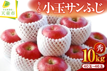 りんご ( 小玉 サンふじ ) 10kg  山形 果物 フルーツ 08-02-025