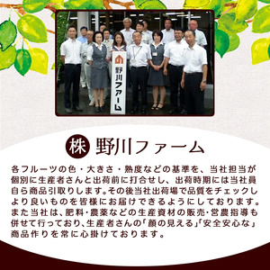 ラ・フランス & サンふじ 詰合せ 5kg  山形 果物 フルーツ 08-02-029