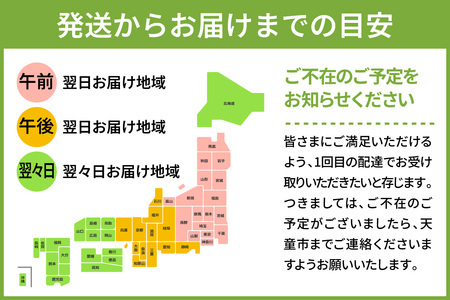特選 でっかい ラ・フランス 2kg  山形 果物 フルーツ 08-03-050