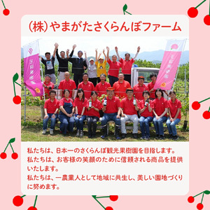 ラ・フランス & シルバーベル 詰合せ 5kg 山形 果物 フルーツ 08-03-090