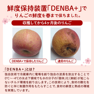 鮮度保持 製法 の 春 りんご 5kg 山形 フルーツ 08-40-005