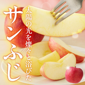 鮮度保持 製法 の 春 りんご 5kg 山形 フルーツ 08-40-005