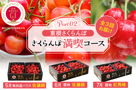 【2025年産 先行予約】 GI「東根さくらんぼ」 さくらんぼ 満喫 コース Part2 (2025年5月下旬～6月上旬からスタート) 山形県 東根市 hi001-034-1　令和7年産 2025年産 ふるさと納税 さくらんぼ サクランボ フルーツ 果物 佐藤錦 サトウニシキ さとうにしき くだもの 期間限定 冷蔵配送 超先取り 先行予約 先行受付 バラ 取り寄せ グルメ ご当地 特産 産地 直送 送料無料 東北 山形 東根市 ハウス栽培 温室 無温室さくらんぼ 人気 無加温ハウス 露地栽培 露地