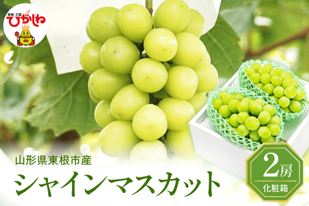 2026年ぶどう「シャインマスカット」秀品 化粧箱入り 2房(約1.2kg) 東根農産センター提供 山形県 東根市 hi027-234　山形県 東根市 東北 果物 フルーツ くだもの ぶどう　シャインマスカット 期間限定 冷蔵配送 先行受付 令和8年産 取り寄せ グルメ ご当地 特産直送 送料無料 ふるさと納税 2房