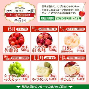 【2026年産先行予約】ひがしねフルーツ祭 ちょっとずつ定期便！全6回（2026年6月からスタート）山形県 東根市 hi026-052　令和8年産 2026年産 ふるさと納税 白桃 桃 もも ピーチ ぶどう マスカット シャインマスカット 房 ラフランス ラ・フランス 有の実 ペア 紅秀峰 さくらんぼ サクランボ フルーツ 果物 くだもの 定期便 コース 期間限定 冷蔵配送 先行予約 先行受付 バラ 取り寄せ グルメ ご当地 特産 産地 直送 送料無料 東北 山形 東根市 人気