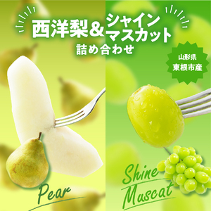【2026年】東根市産 シャインマスカット&西洋梨 詰め合わせ 3kg 秀品 化粧箱入り 山形県 東根市 hi027-242(先行予約 令和8年産 山形県 東根市 果物 フルーツ ぶどう シャインマスカット 梨 西洋梨 詰め合わせ ふるさと納税 3kg 秀 品種おまかせ おまかせ)