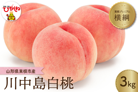 2026年産 先行予約】 もも「【横綱】川中島白桃」3kg JA提供 山形県