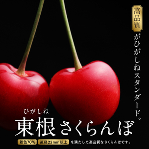 【2025年産　先行予約】真の桜桃 佐藤錦 超特秀 1kg 山形県 東根市　hi004-hi062-032-1 令和7年産 ふるさと納税 さくらんぼ サクランボ フルーツ 果物 くだもの 期間限定 冷蔵配送 先行予約 箱入り 2Lサイズ 取り寄せ グルメ ご当地 特産 産地 直送 送料無料 東北 山形 東根市