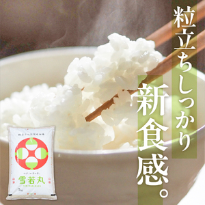 【令和7年産米】☆2026年5月前半発送☆ 雪若丸 10kg（5kg×2袋）山形県 東根市産　hi003-148-051-1 2025年 令和7年産 山形 送料無料 東北 白米 精米 お米 こめ ブランド米 ごはん ご飯 おにぎり 特A 米どころ お取り寄せグルメ