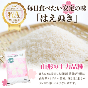 【令和6年産 先行予約】はえぬき10kg (2025年3月後半送付)JA提供 山形県 東根市　hi002-028-033 先行予約 2024年 令和6年産 山形 送料無料 東北 白米 精米 お米 こめ ブランド米 ごはん ご飯 おにぎり 特A 米どころ お取り寄せグルメ