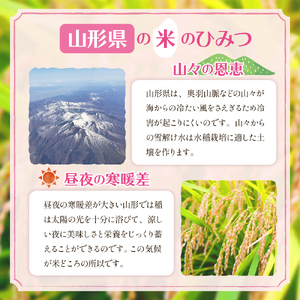 【令和6年産 先行予約】はえぬき10kg (2025年3月後半送付)JA提供 山形県 東根市　hi002-028-033 先行予約 2024年 令和6年産 山形 送料無料 東北 白米 精米 お米 こめ ブランド米 ごはん ご飯 おにぎり 特A 米どころ お取り寄せグルメ