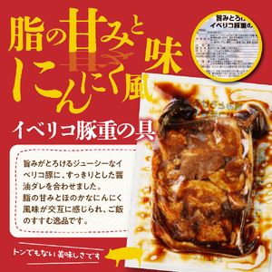 【かんたん本格調理】旨みがとろけるイベリコ豚重の具 105g × 7 袋 セット 山形県 東根市 日東ベスト hi010-011 冷凍食品 惣菜 おかず お弁当 ランチ 丼 手軽 簡単 時短料理 おうちごはん 豚肉 便利 業務用 山形県 東根市