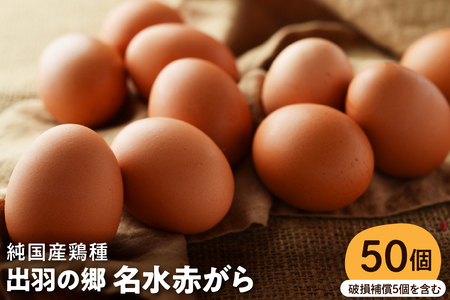 【山形県東根市産】　出羽の郷名水赤がら50個入（破損補償5個を含む） 半澤鶏卵提供 山形 東根 hi071-003　栄養たっぷり50個 半澤 鶏卵 送料無料 山形 県 黄身 白身 弾力 濃厚 産みたて たまごかけ 卵かけ ごはん ご飯 TKG 親子丼 オムレツ 朝食 美味しい 栄養 たんぱく質 人気 ふるさと納税