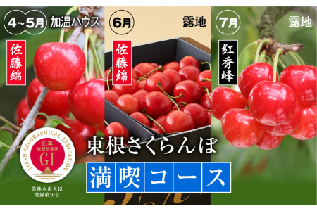GI「東根さくらんぼ」 さくらんぼ満喫コース(2022年4月下旬~5月中旬 ハウス栽培さくらんぼからスタート)【定期便】 E-1908