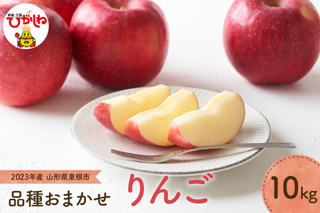 P-1239 りんご(品種おまかせ)10kg JA提供(2020年9月下旬~10月下旬送付)