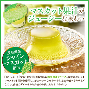 シャインマスカットゼリー1袋4個入×12袋 和歌山産業提供 hi070-007 シャインマスカット マスカット ぶどう フルーツ 果物 クダモノ くだもの ゼリー おやつ ご褒美 お弁当のお供 ご当地 グルメ お取り寄せ 送料無料 山形県 東根市 ふるさと納税 人気 長野県産